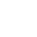 French Crowd